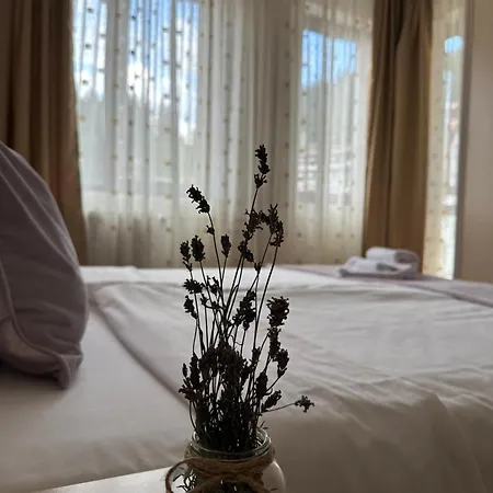 Apartman Stenata Sport Pamporovo