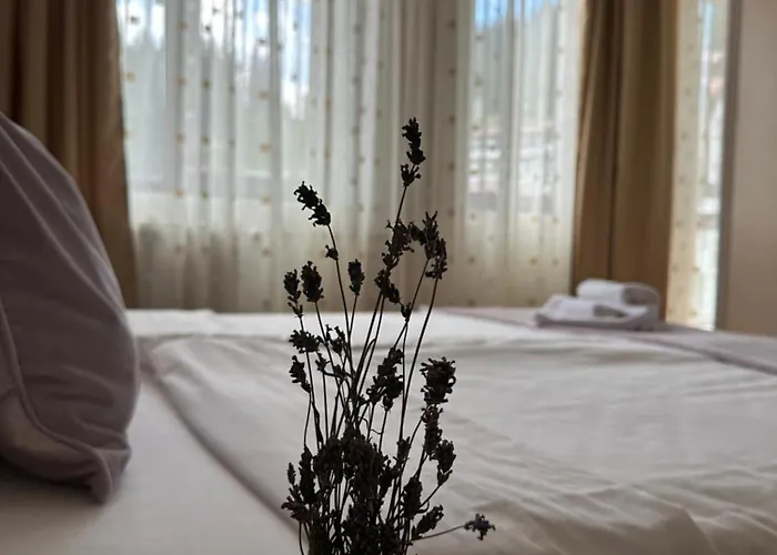 Apartment Stenata Sport Pamporowo